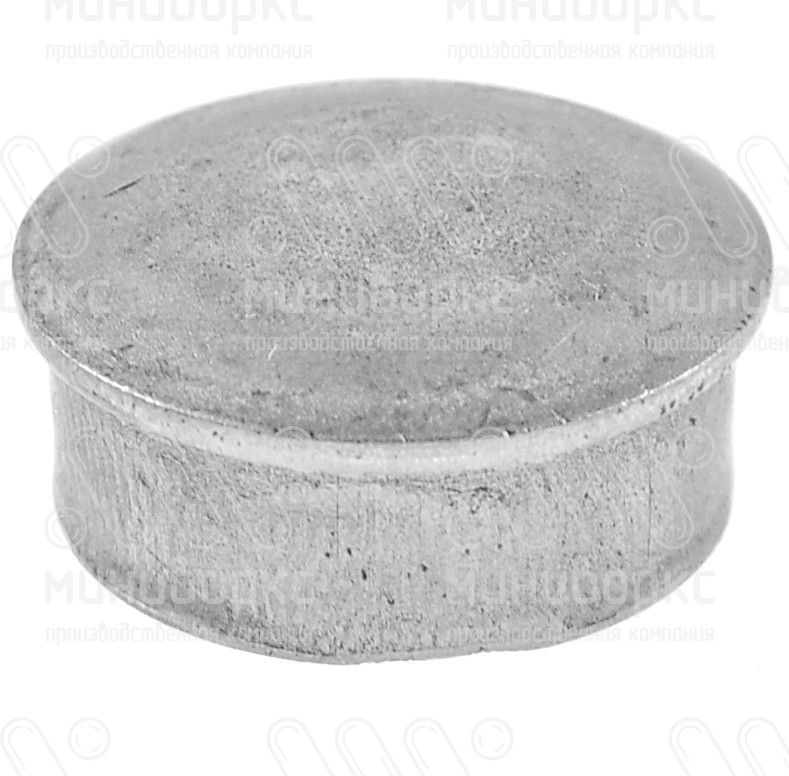 Заглушки для круглой трубы 30 – 110217667F | картинка 1